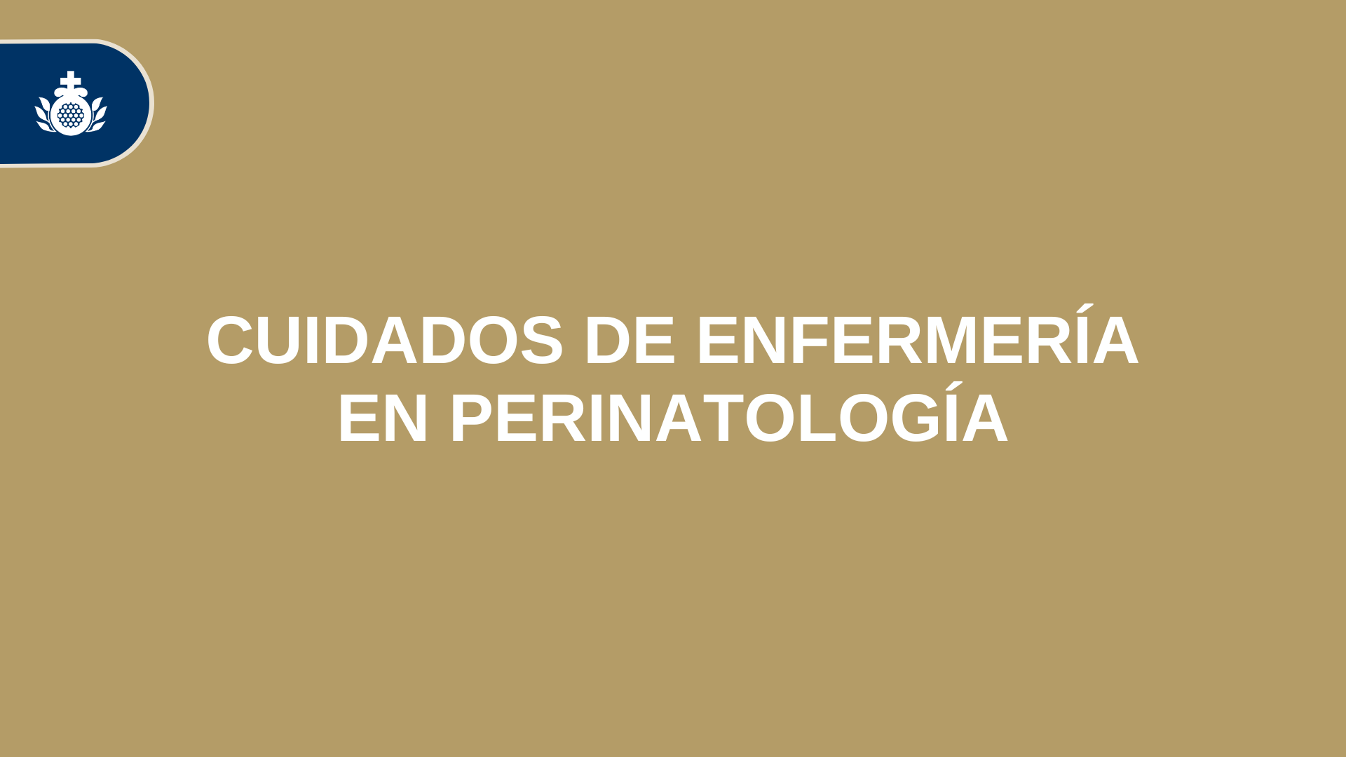 Curso de Cuidados de Enfermería en Perinatología